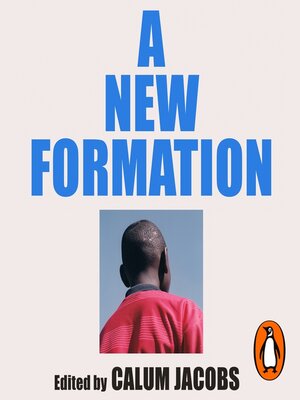 A New Formation - Audiobook